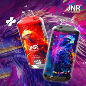 JNR Capsule 15000 Puffs